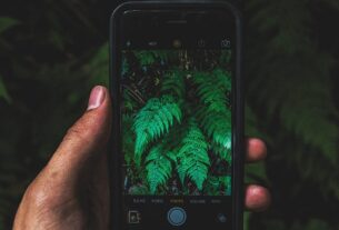 A Era dos Aplicativos de Tecnologia na Jardinagem