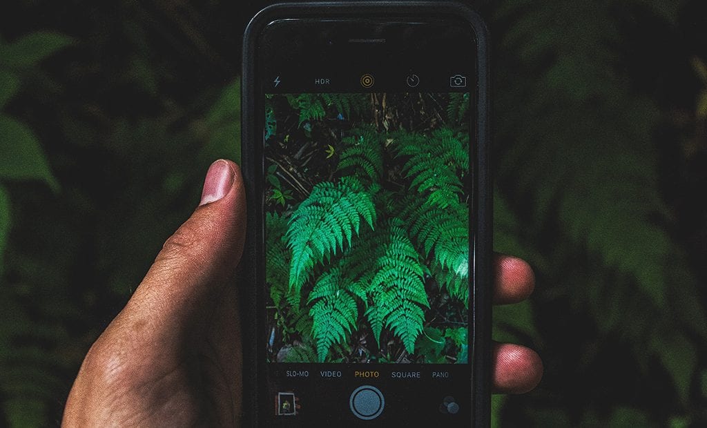 A Era dos Aplicativos de Tecnologia na Jardinagem